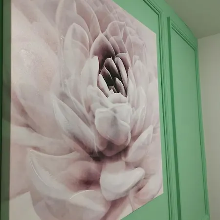 Mateja Apartament Nowy Sad